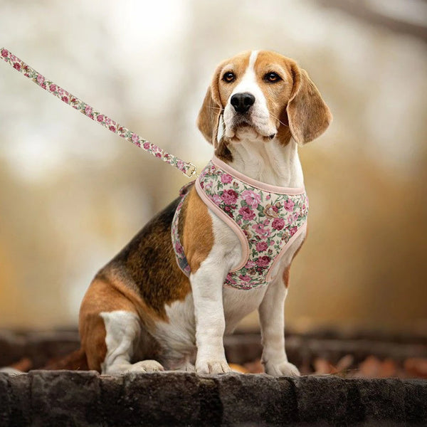 Breathable Floral Harness Set