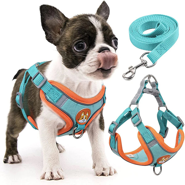 Reflective Step In Harness