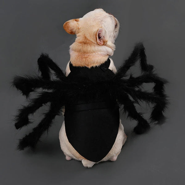Spider Halloween Pet Costume