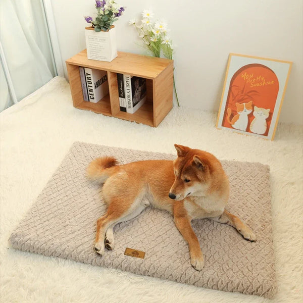 Orthopedic Washable Memory Bed