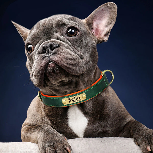 Personalized Padded Leather Dog Collar