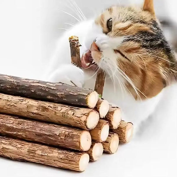 Natural Wood Catnip Chew Sticks