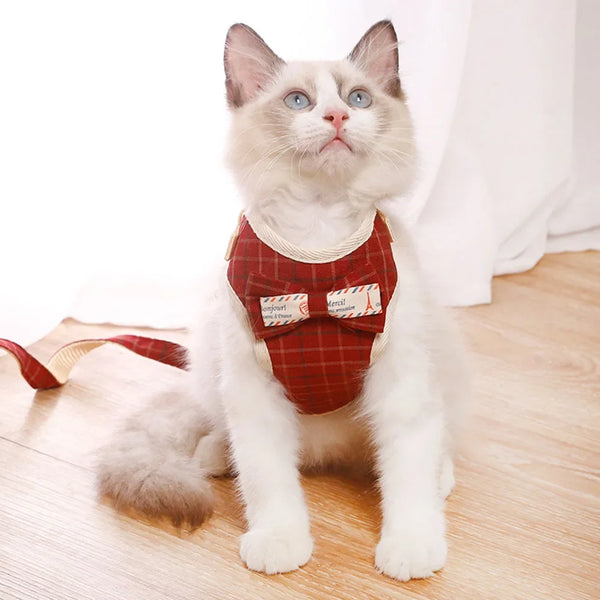 Padded Nylon Harness Set