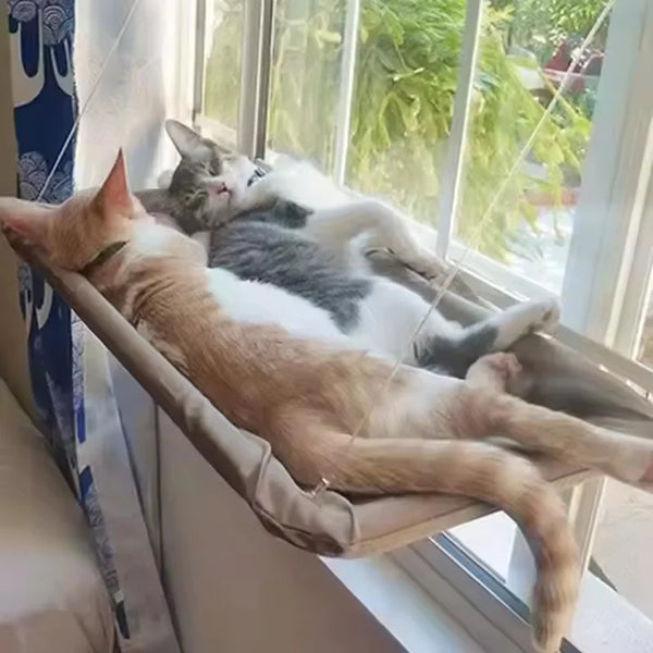 Window Suction Cat Hammock