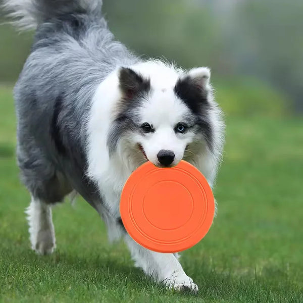 Durable Rubber Flying Disc