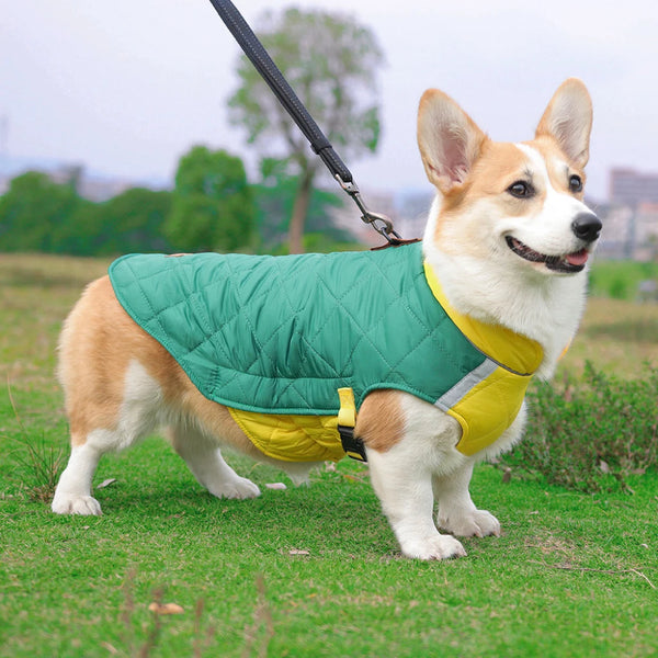 Waterproof Winter Dog Vest