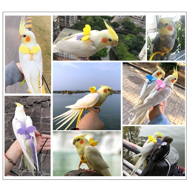 Adjustable Parrot Harness Leash