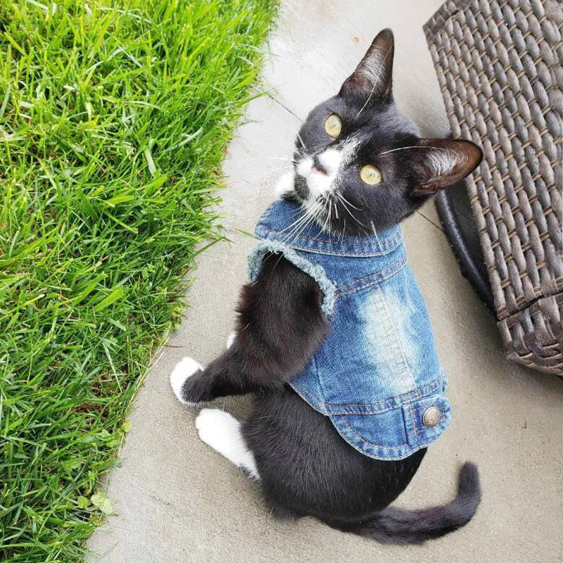 Casual Denim Cat Vest