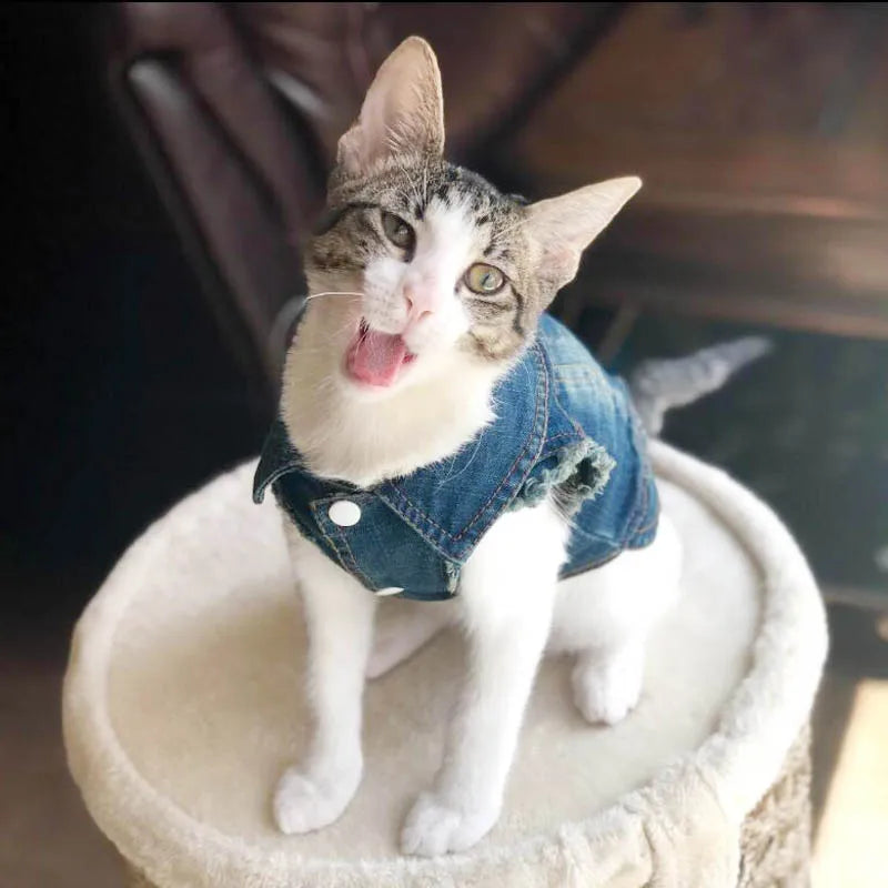 Casual Denim Cat Vest
