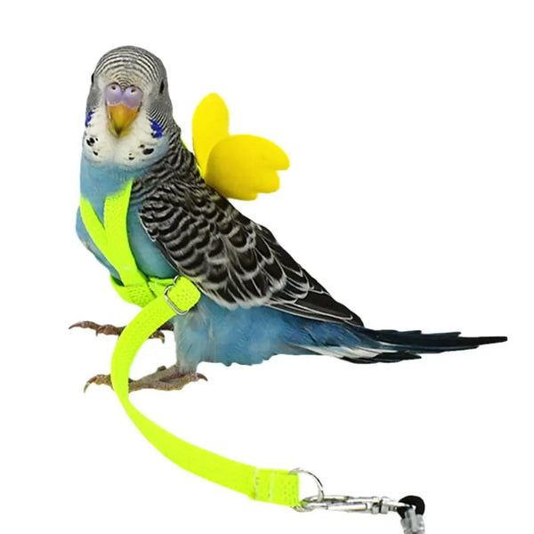 Adjustable Parrot Harness Leash