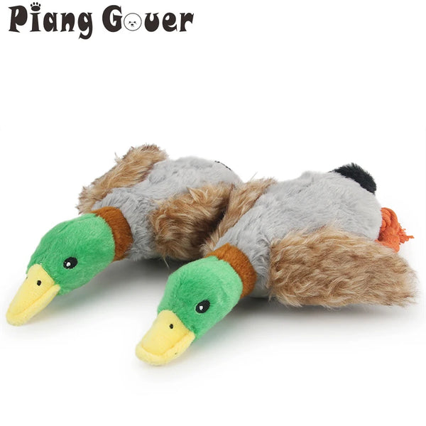Squeaky Duck Rope Chew