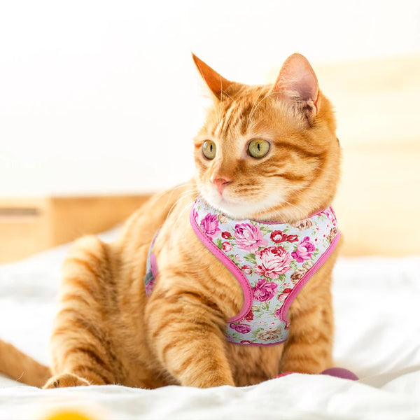 Breathable Floral Harness Set