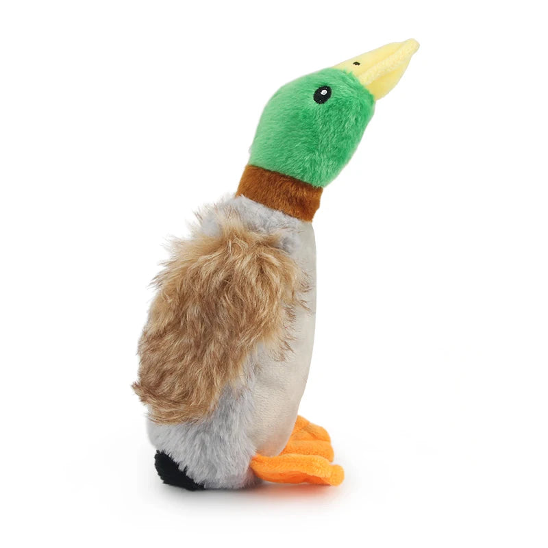 Squeaky Duck Rope Chew