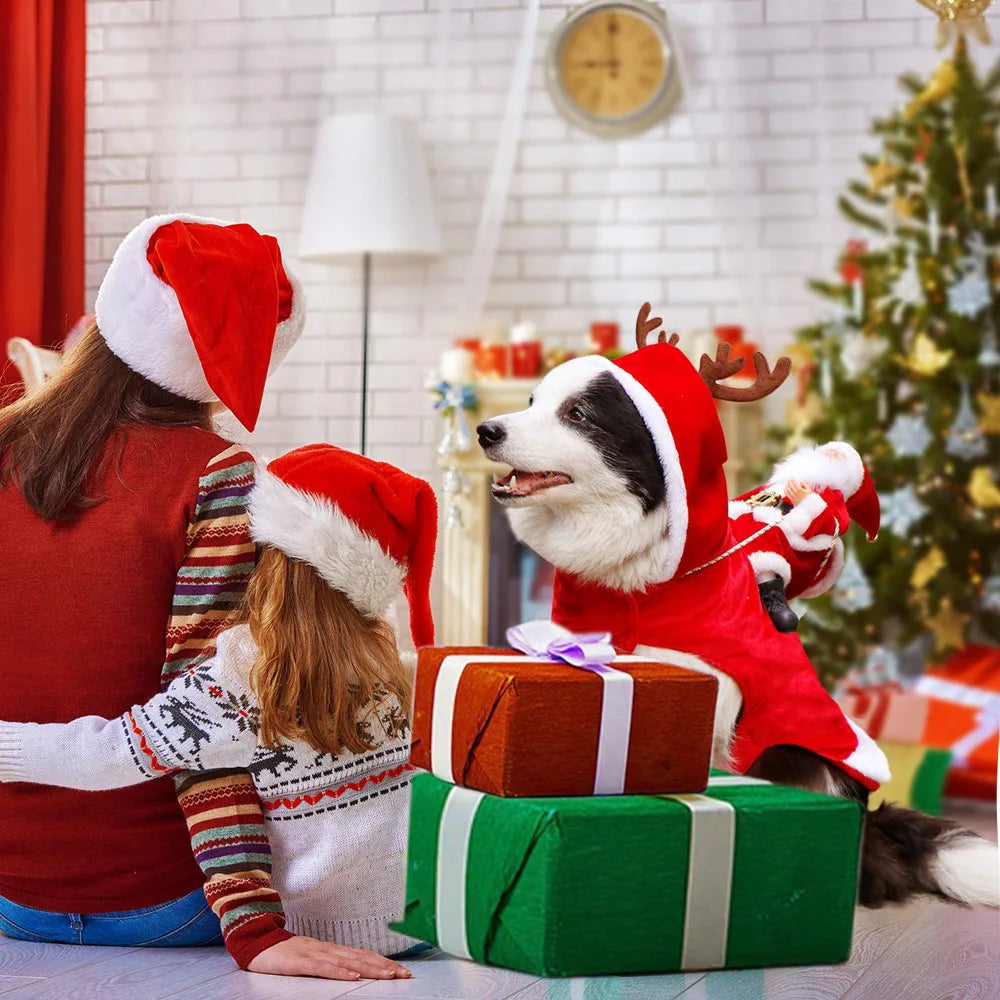 Christmas Santa Dog Costume