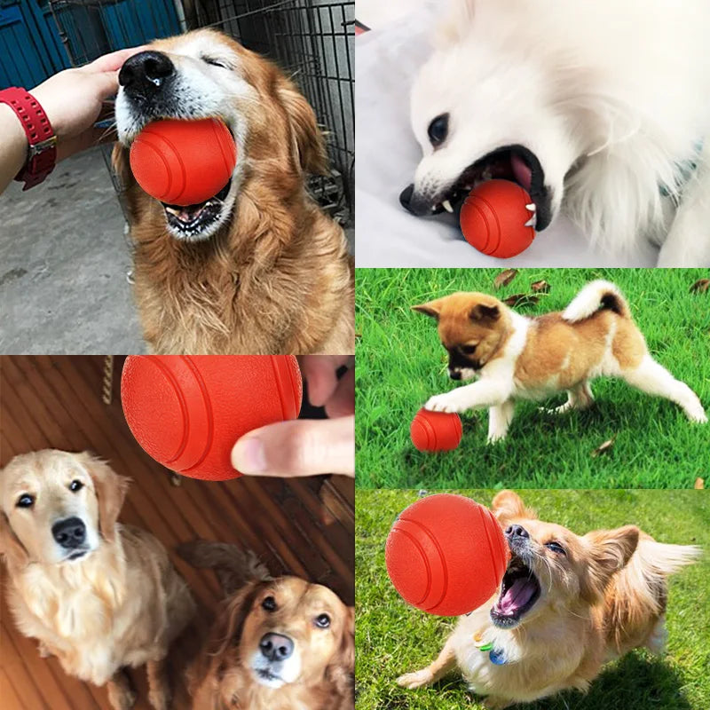 Bite Resistant Rubber Ball