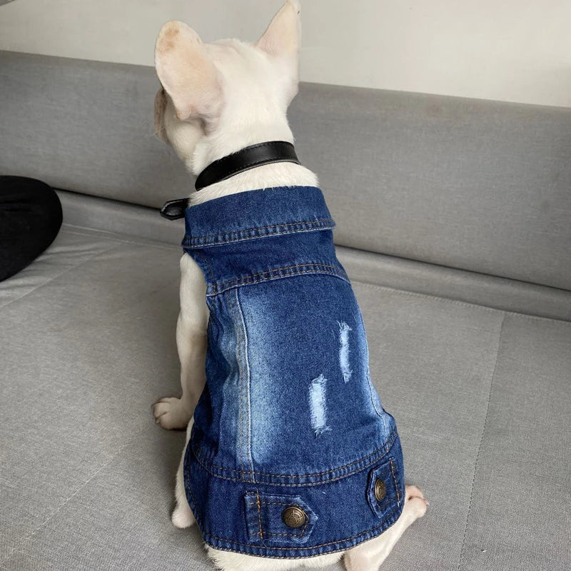 Casual Denim Cat Vest