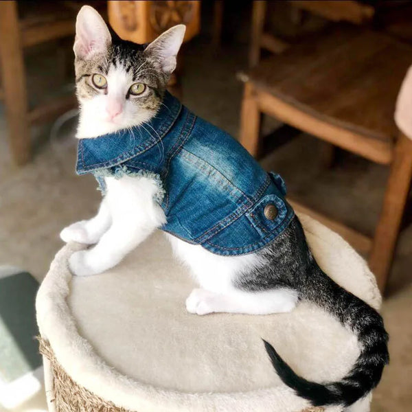 Casual Denim Cat Vest