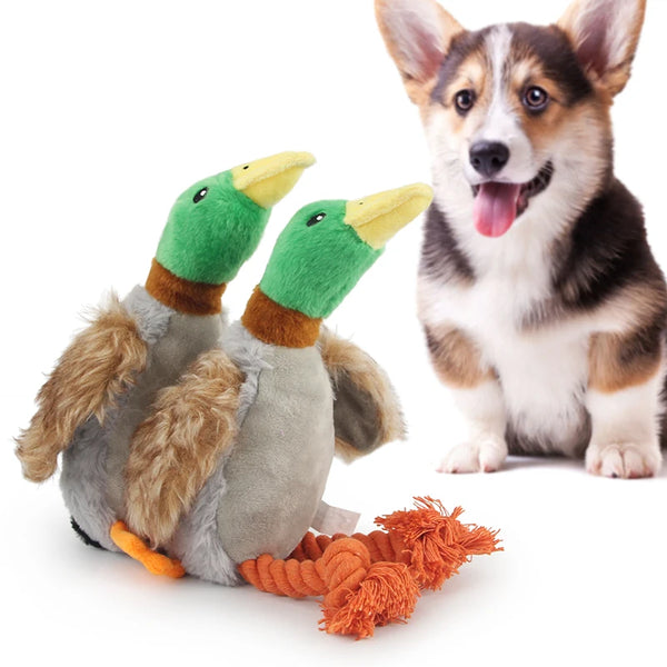Squeaky Duck Rope Chew