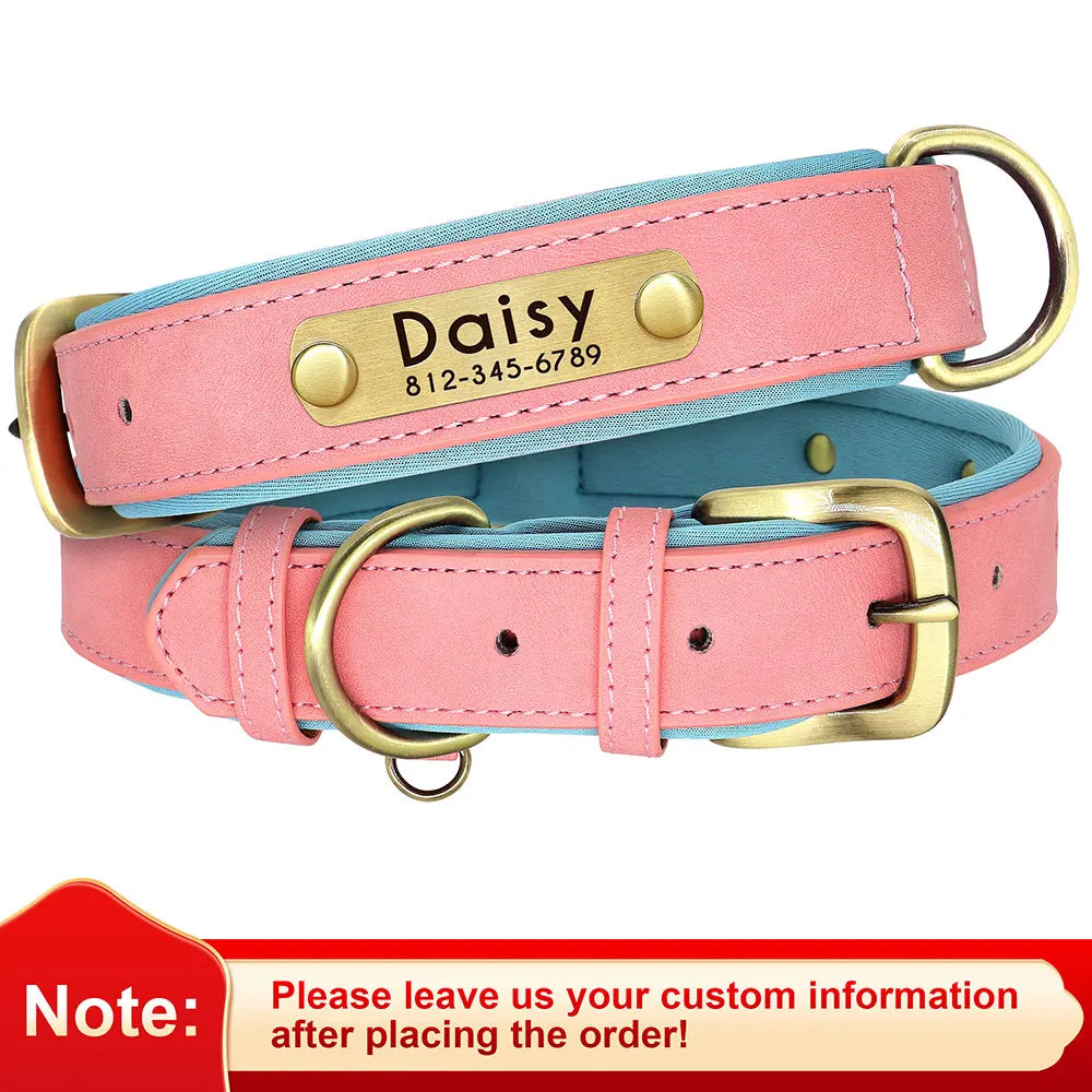 Personalized Padded Leather Dog Collar