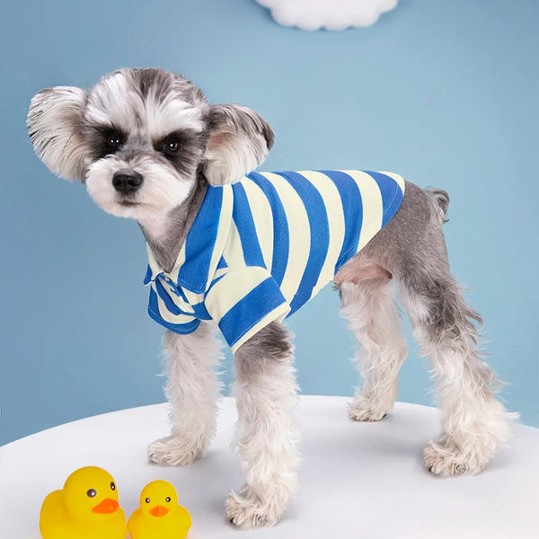 Striped Summer Dog Polo