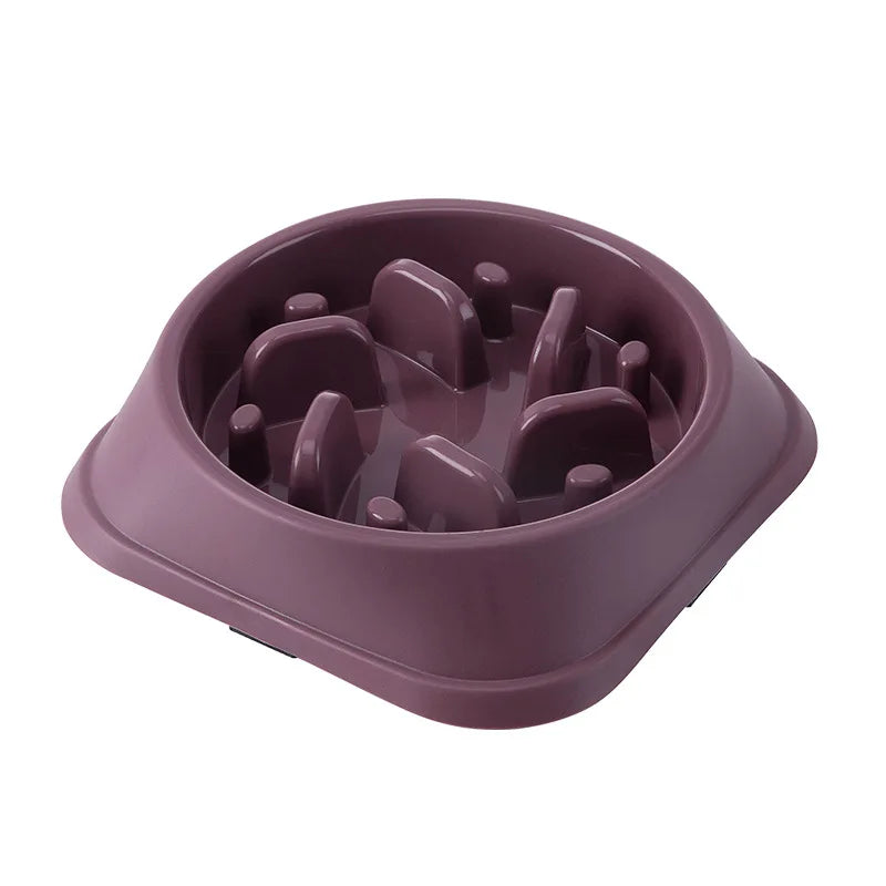 Non-Slip Slow Feeder Bowl