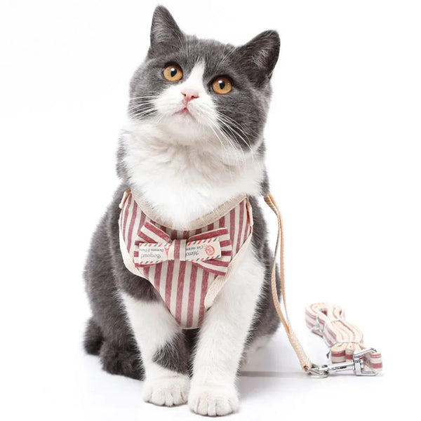 Padded Nylon Harness Set