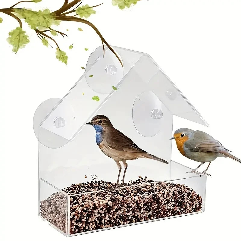 Acrylic Suction Window Bird Feeder