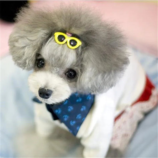Heart Sunglasses Pet Hairpin