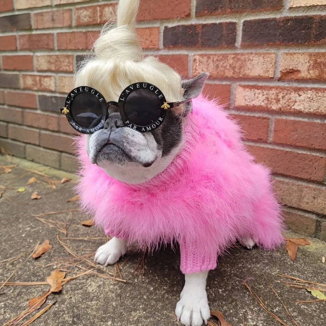 Warm Fashion Dog Sweater