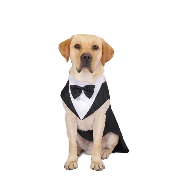Formal Dog Tuxedo Shirt