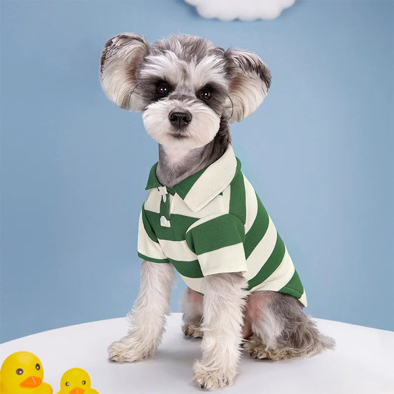 Striped Summer Dog Polo