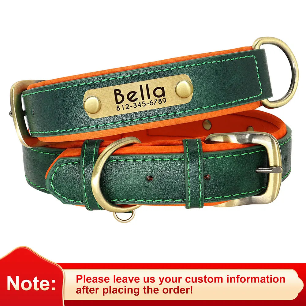 Personalized Padded Leather Dog Collar