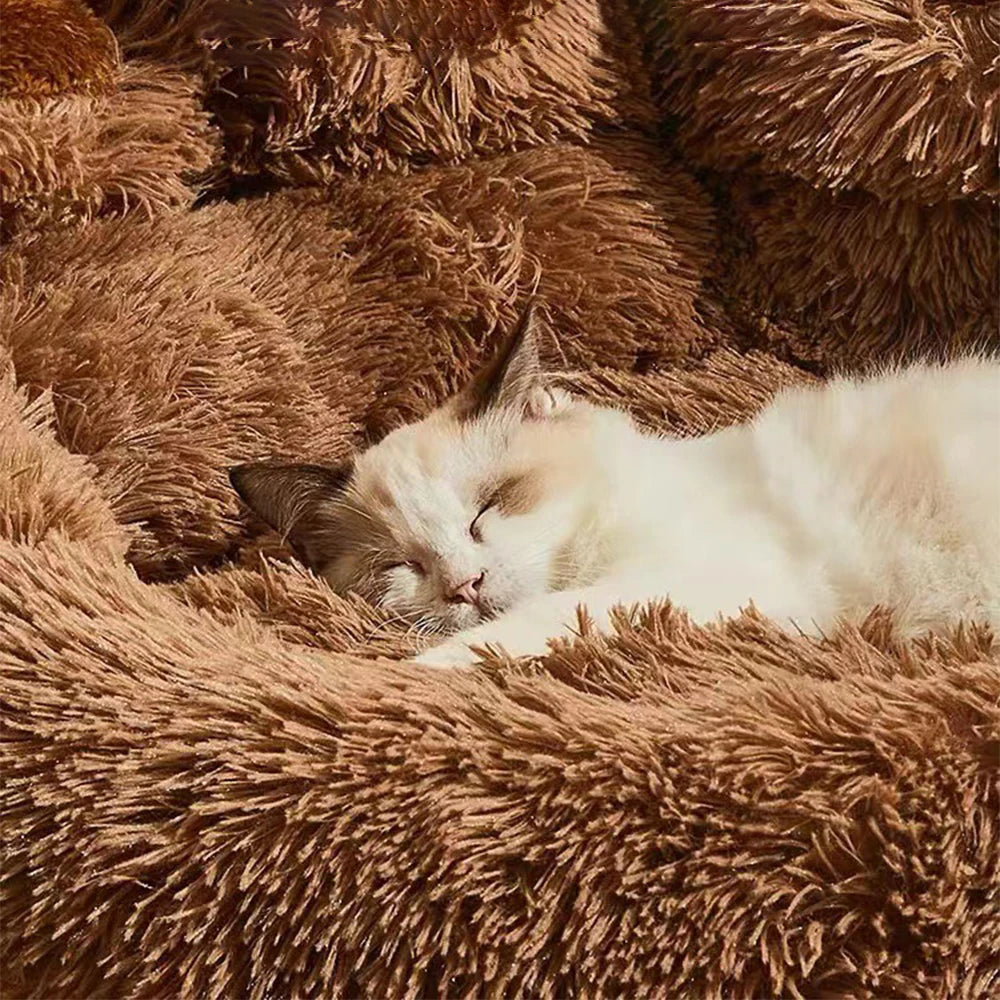 Warm Plush Dog Sofa