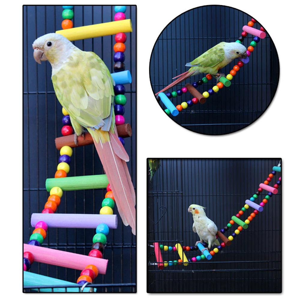 Colorful 12-Step Bird Ladder
