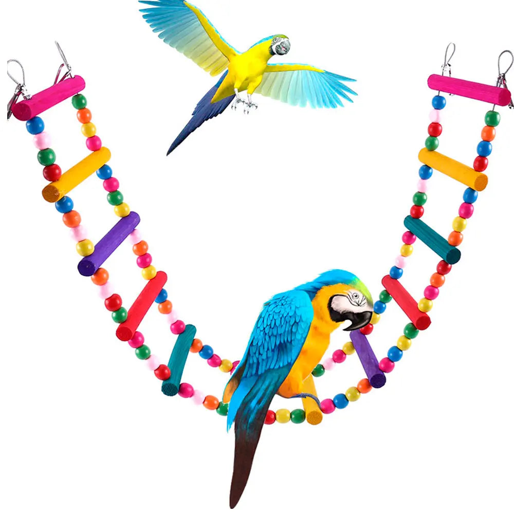 Colorful 12-Step Bird Ladder