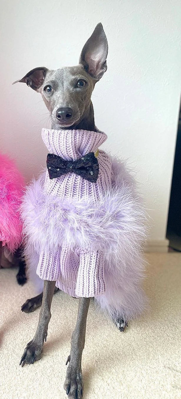 Warm Fashion Dog Sweater