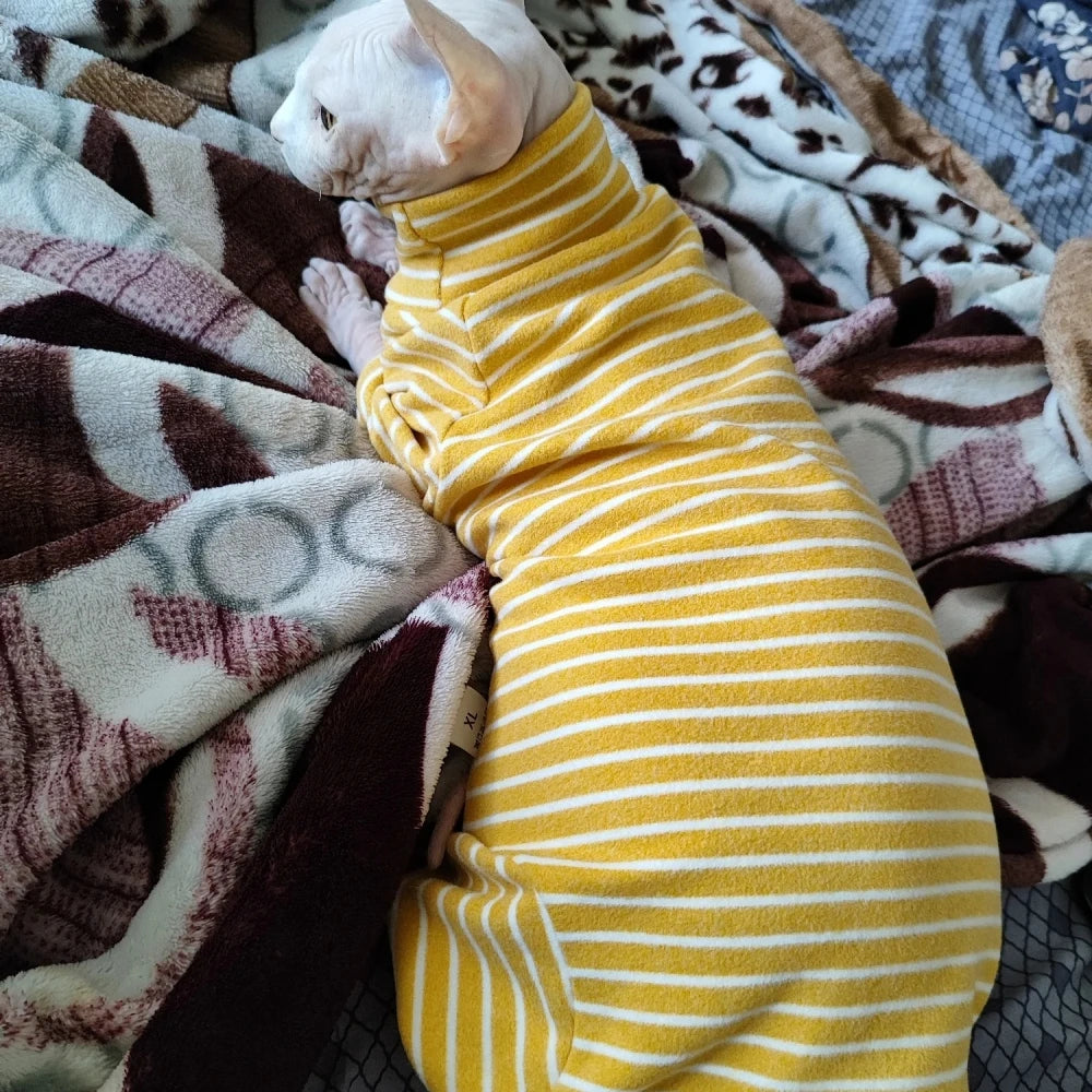 Striped Sphynx Cotton Jumpsuit