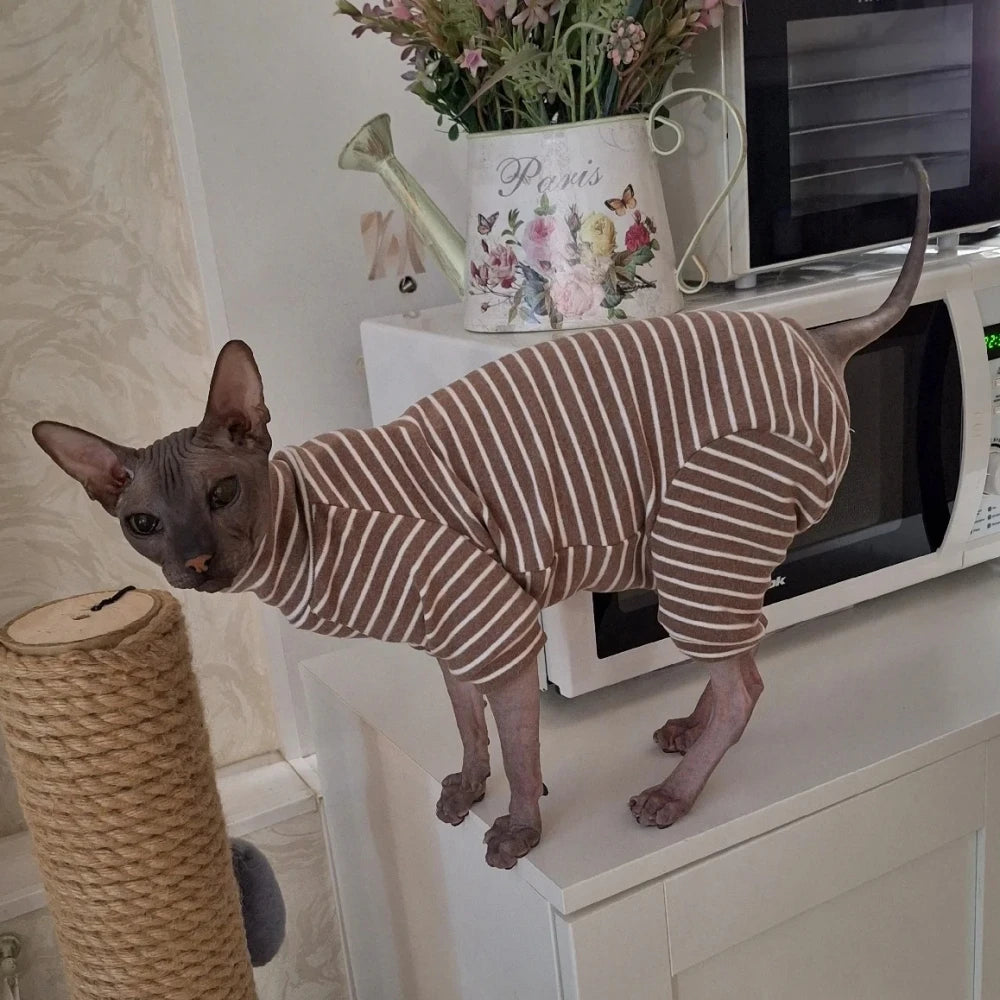 Striped Sphynx Cotton Jumpsuit