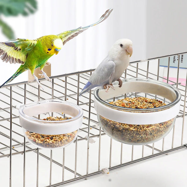 Transparent Bird Cage Feeder