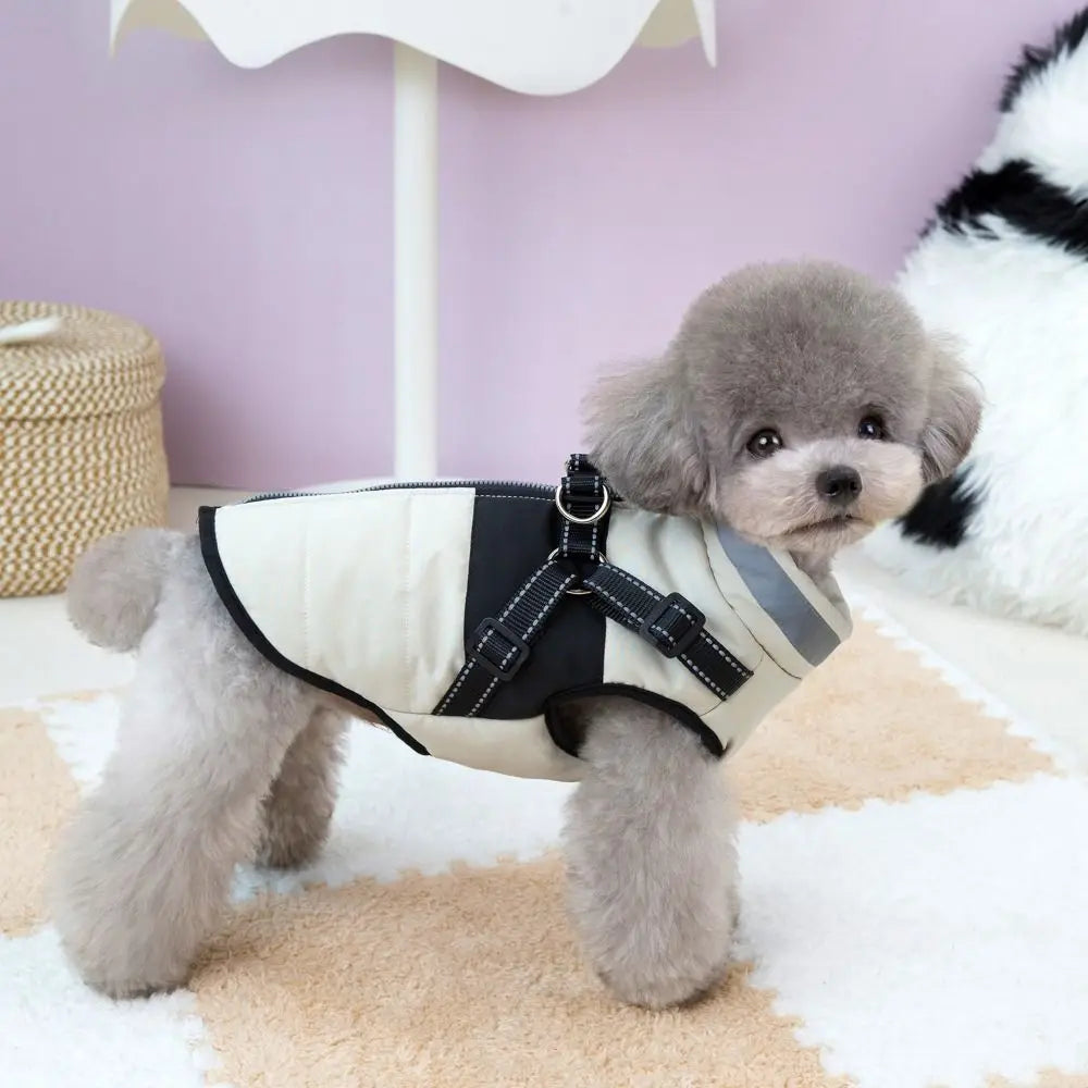 Windproof Harness Dog Jacket