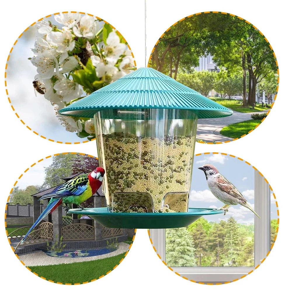 Hanging Peanut Bird Feeder
