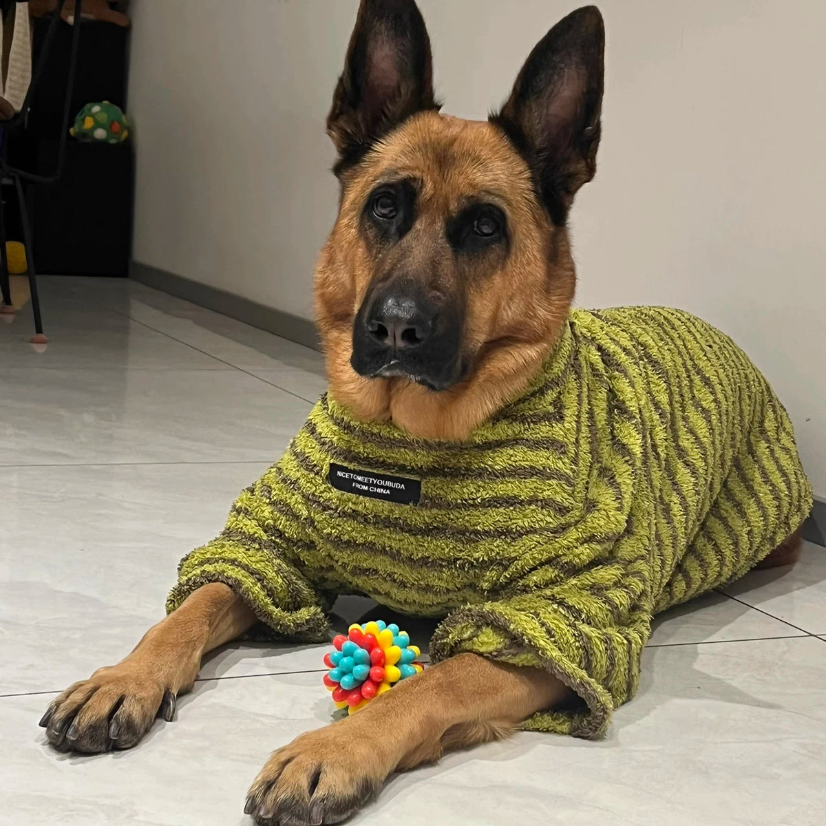 Striped Turtleneck Dog Sweater