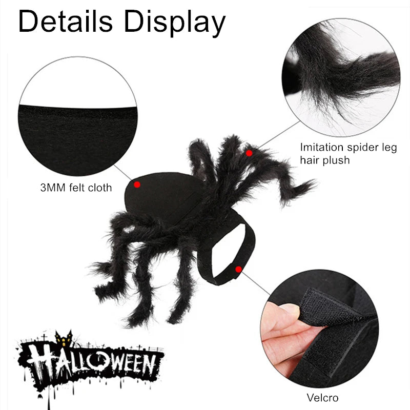 Spider Halloween Pet Costume