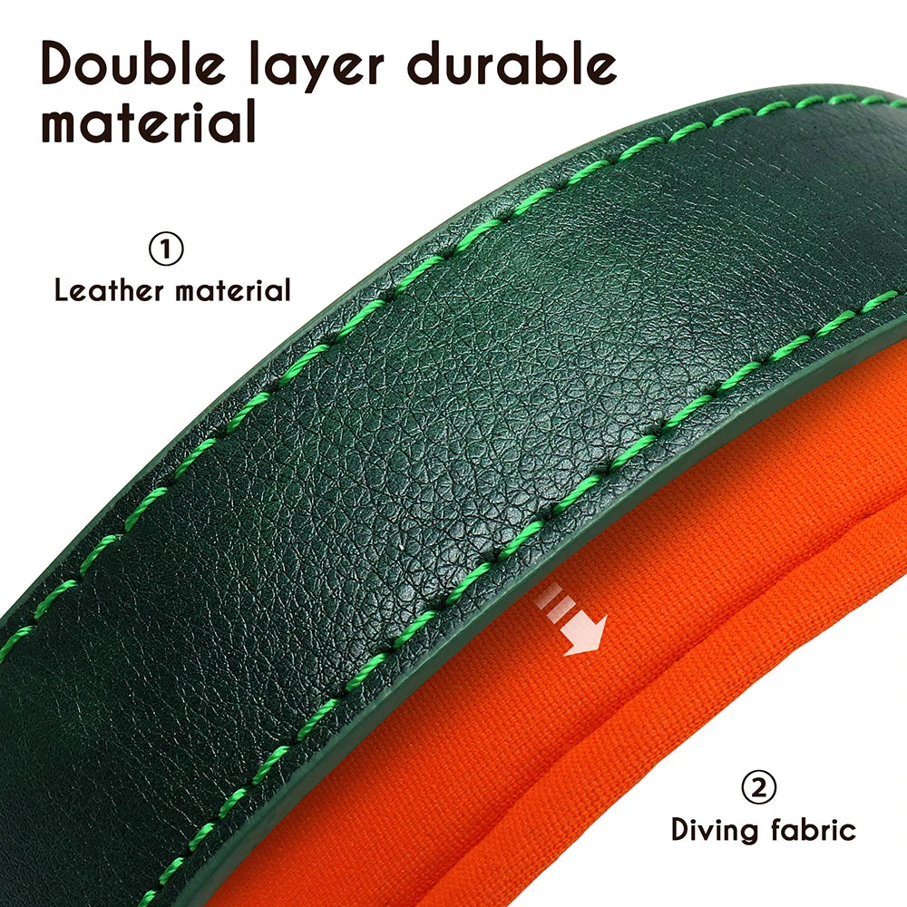Personalized Padded Leather Dog Collar