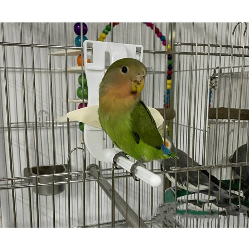 Parrot Fruit Feeding Clip
