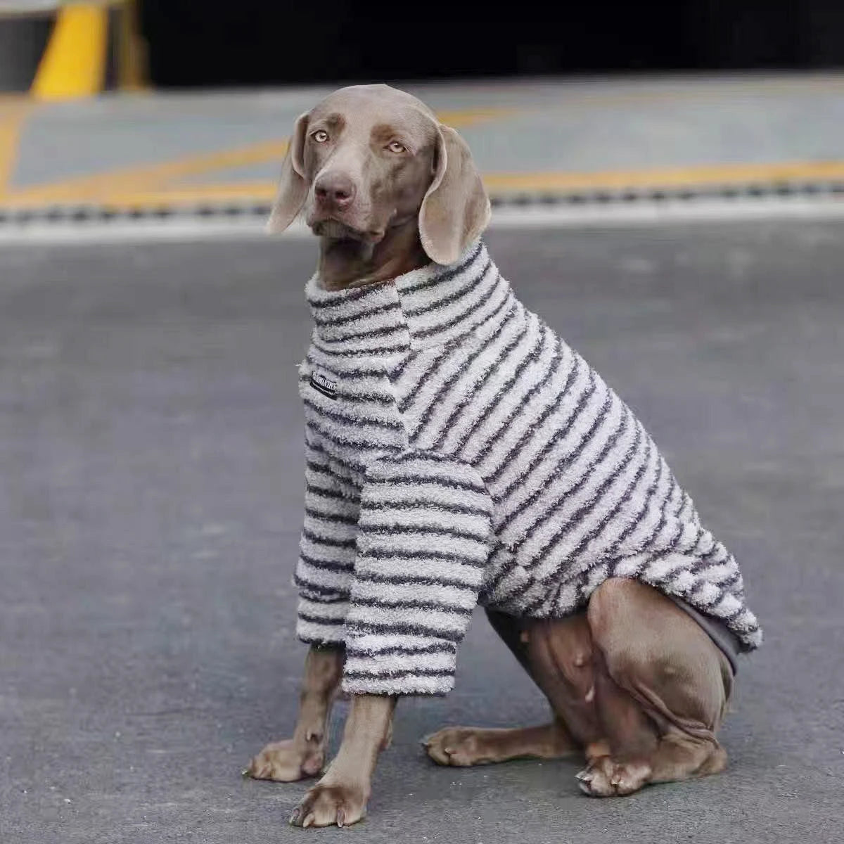 Striped Turtleneck Dog Sweater
