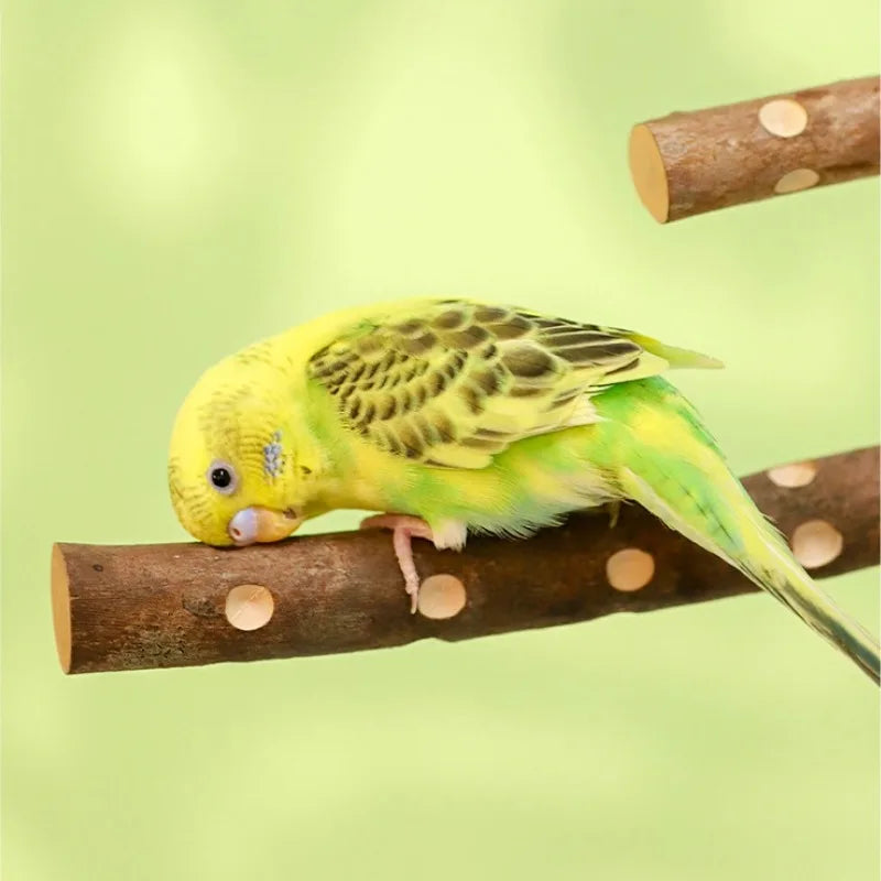 Natural Wood Bird Perch