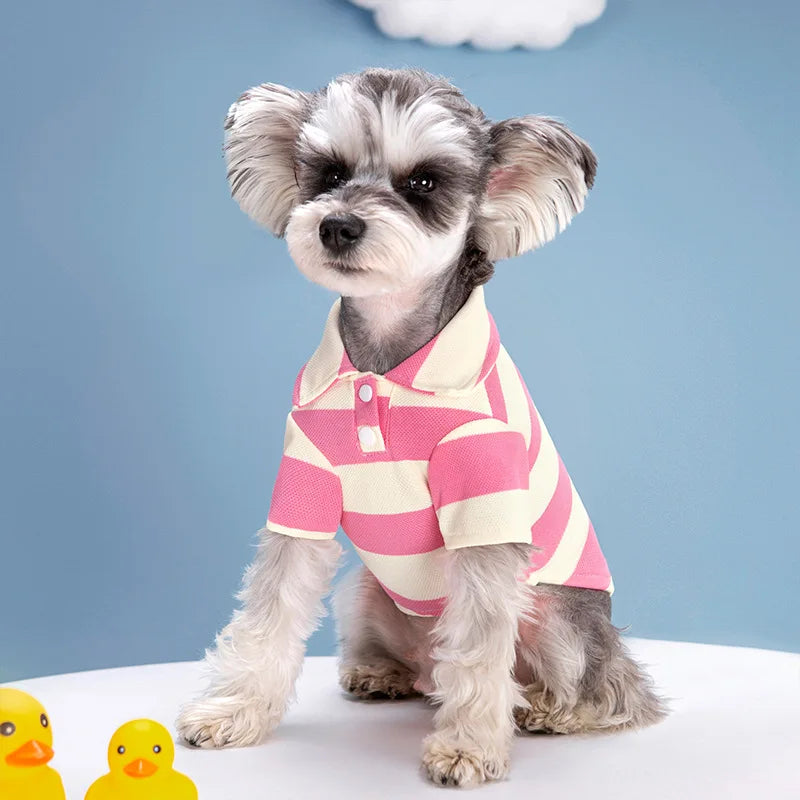 Striped Summer Dog Polo