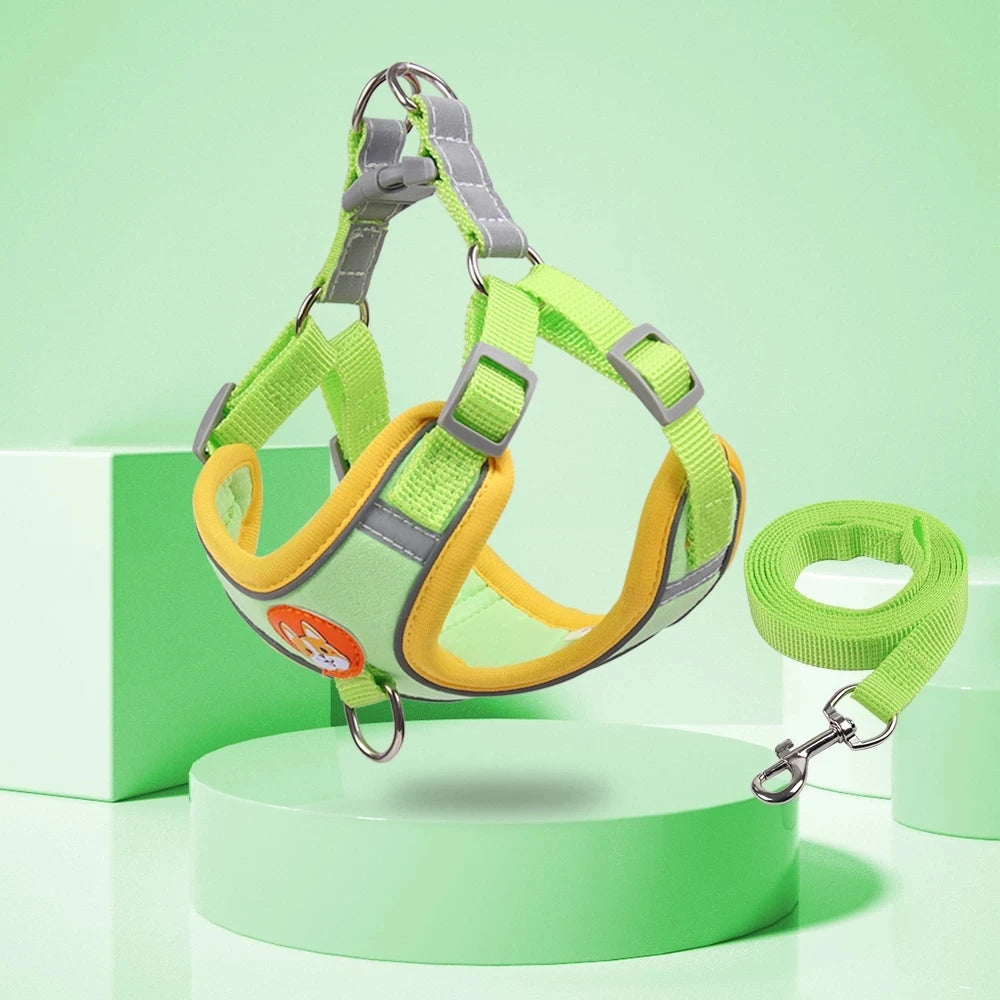 Reflective Step In Harness