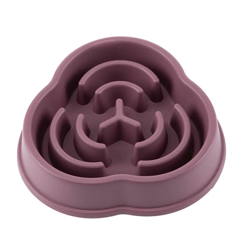 Non-Slip Slow Feeder Bowl